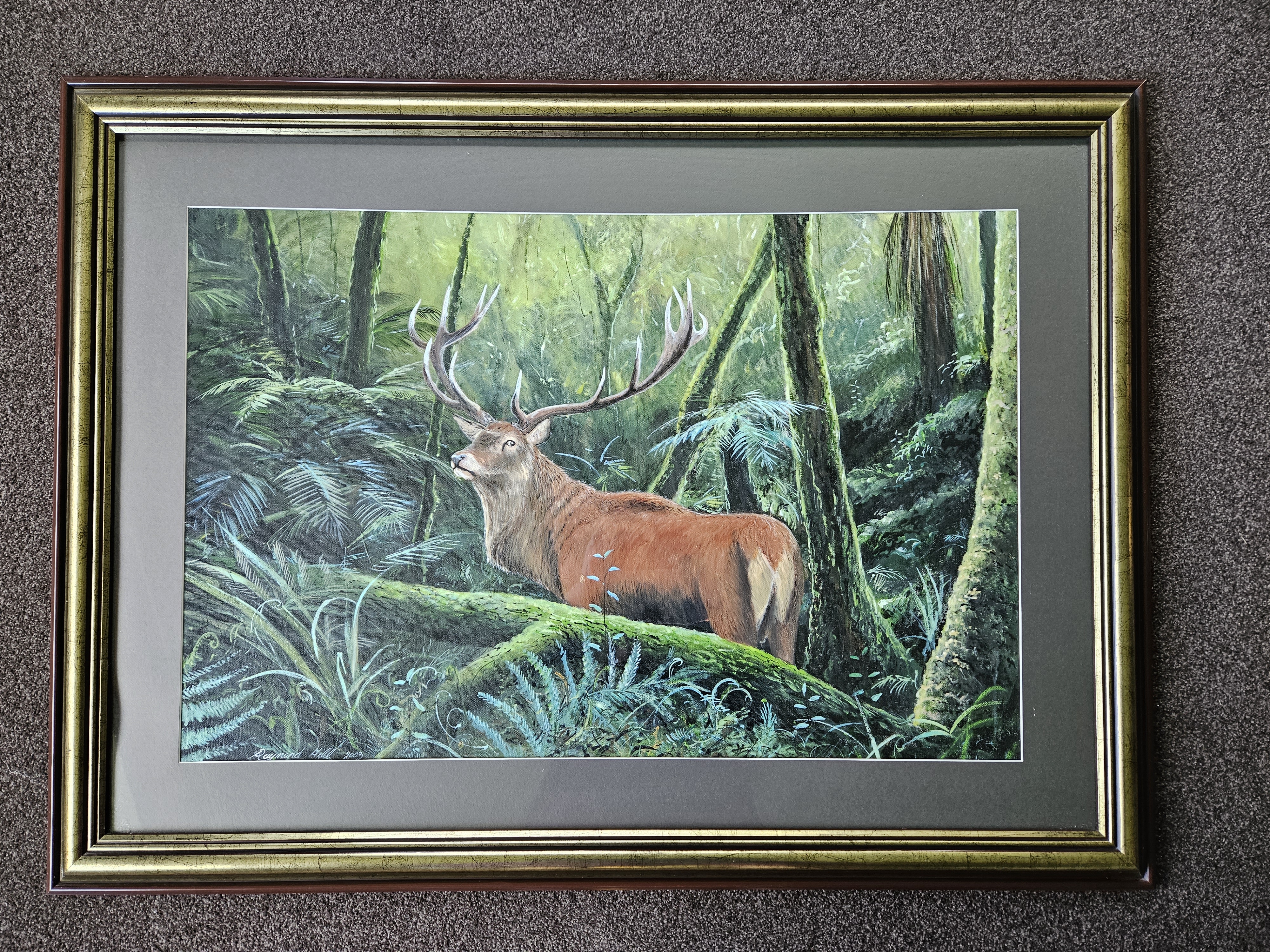 Framed Red deer