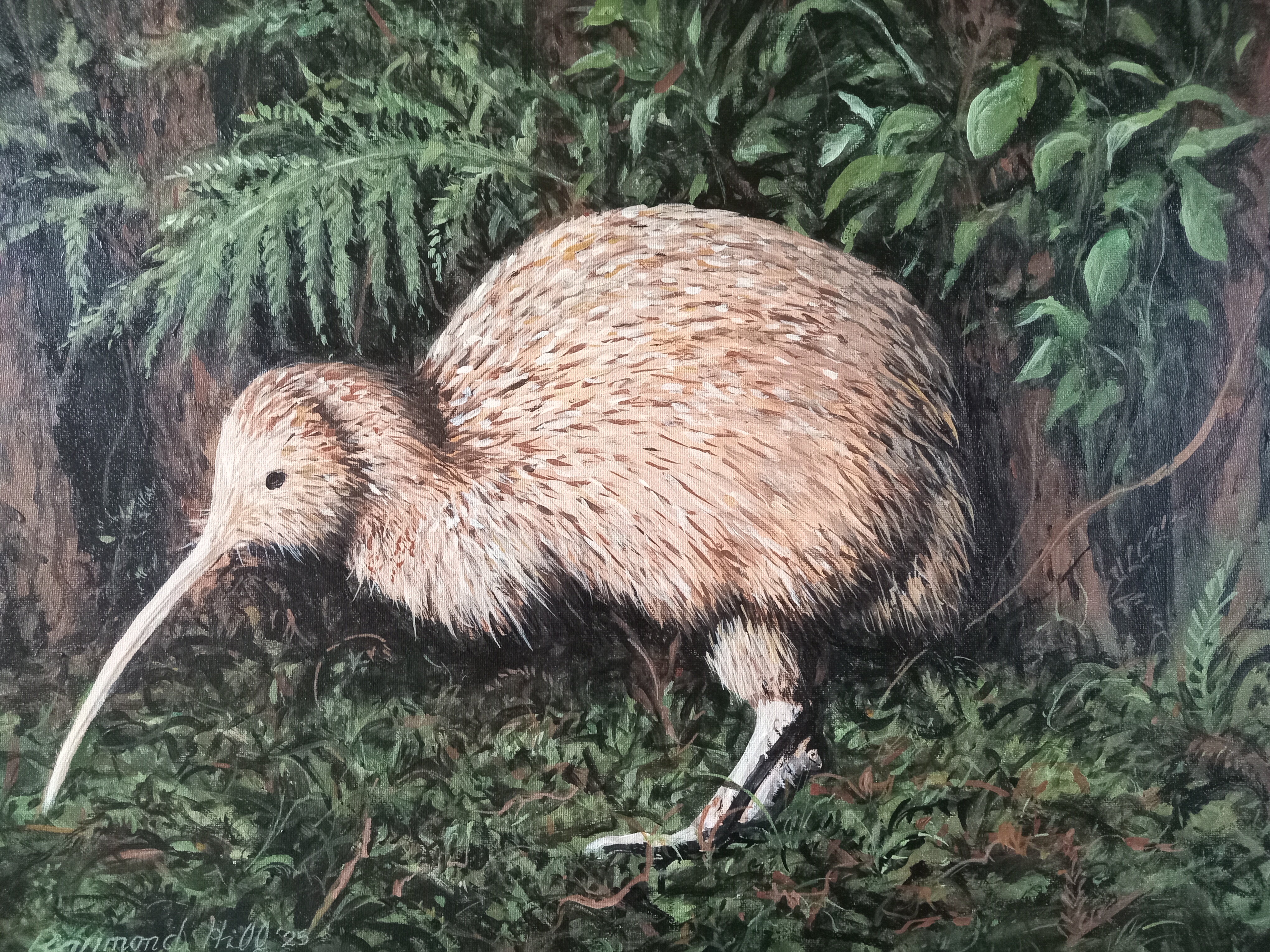 Lonely Kiwi