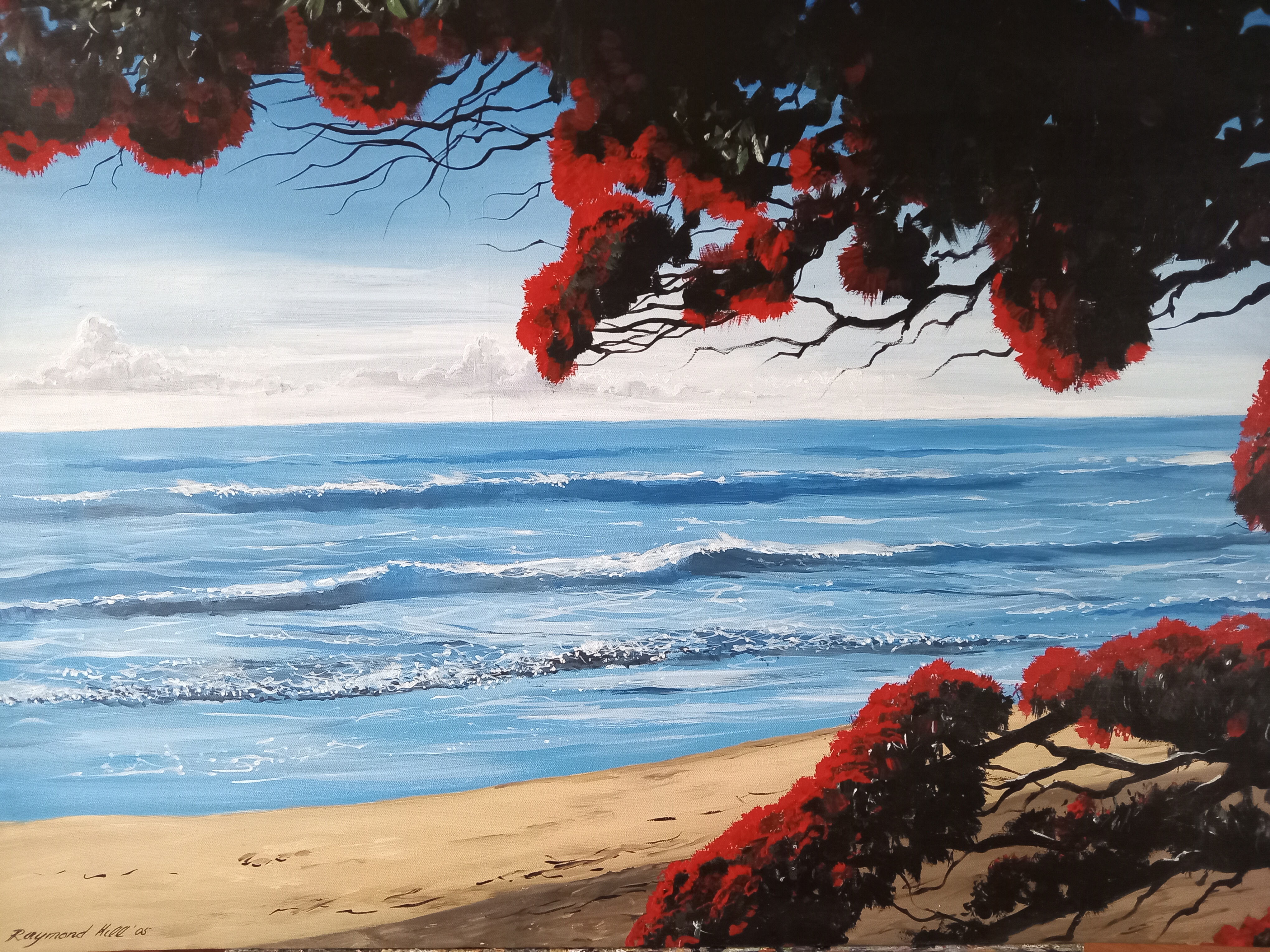 Pohutukawa beach