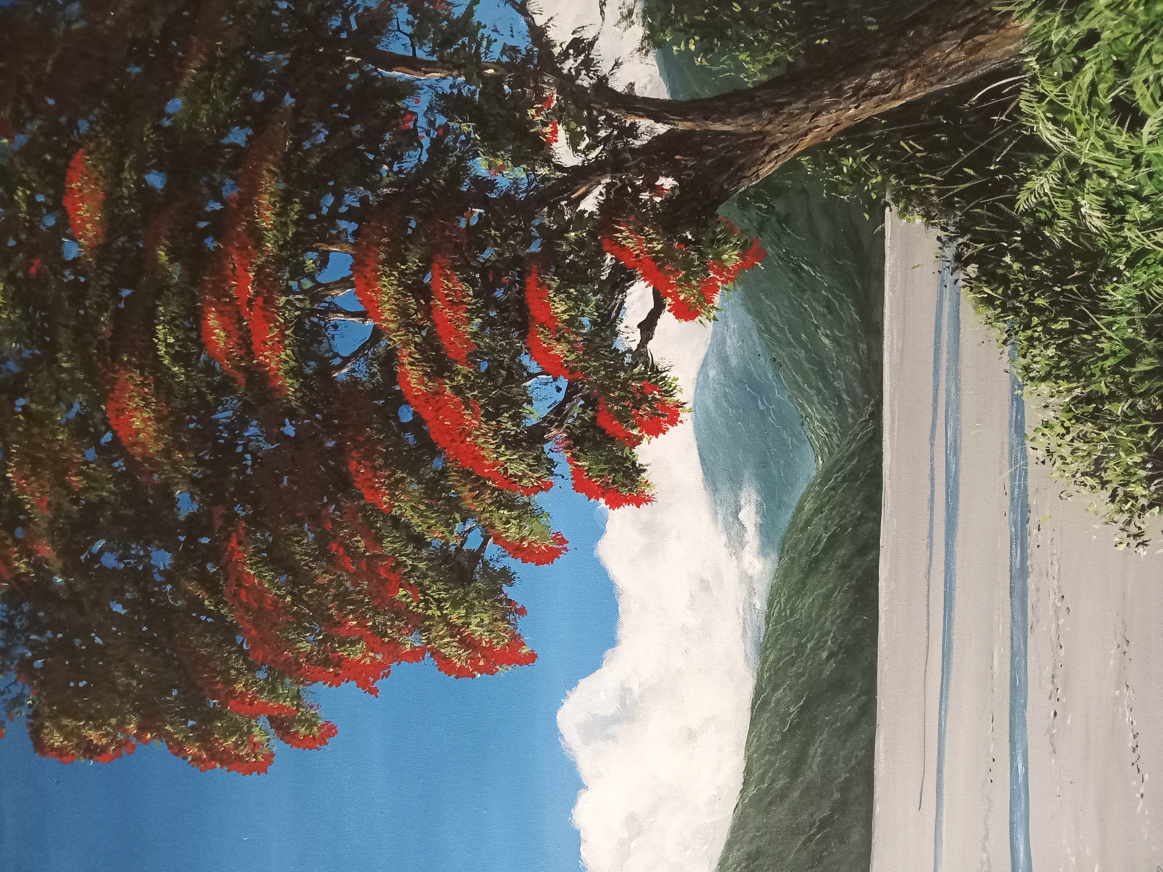 Pohutukawa on the Coast